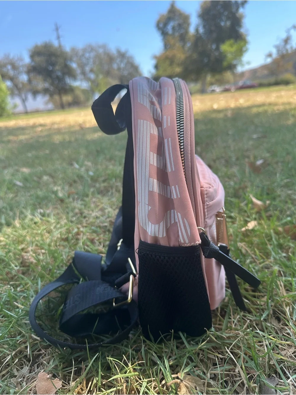 Steve Madden Blush Pink Mini Backpack with Branded Front Pocket